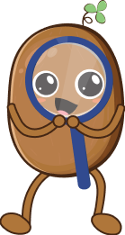 kiwiBottom